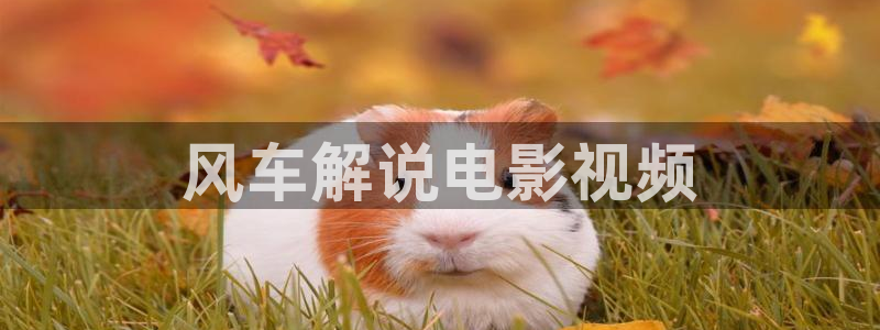 新闻图片