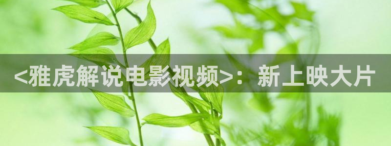 新闻图片