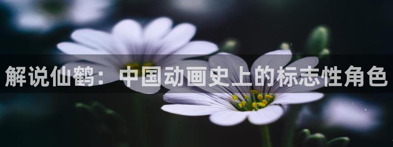 星空视频电影在线视频观看