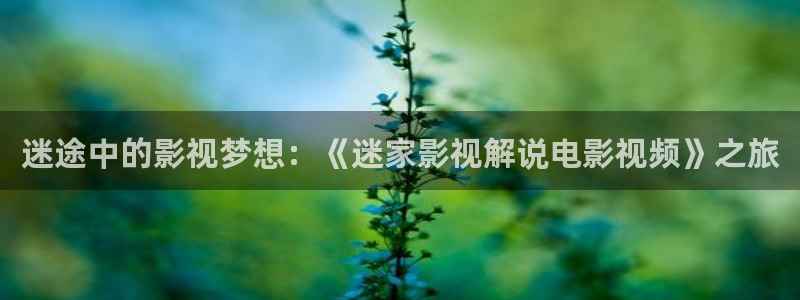 合肥星空今日影讯