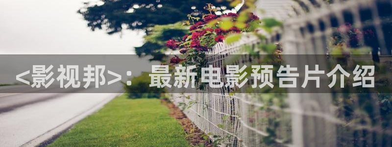 星空影视app下载免费