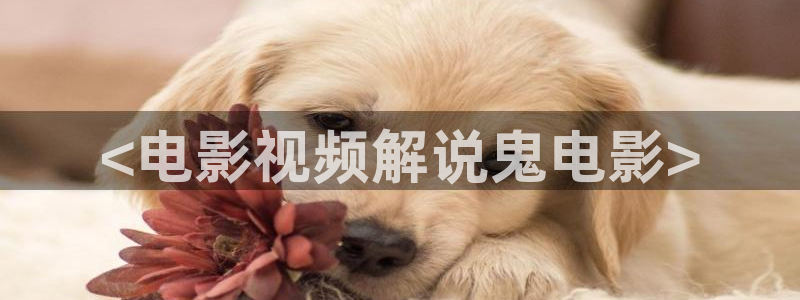 星空影院在线电视剧免费看